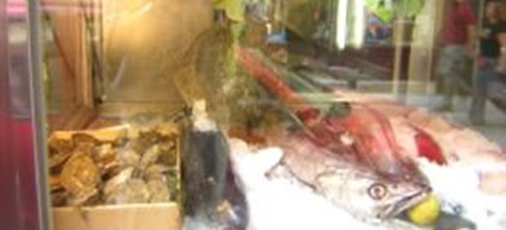 do Salmon - foto 3