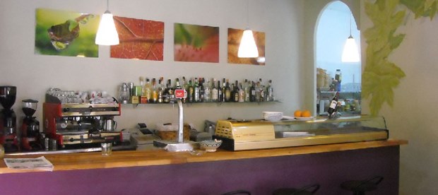 Serrano - foto 1