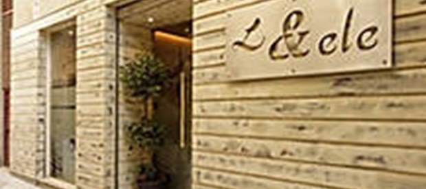 L & ele - foto 6