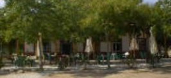 La Masía - foto 2